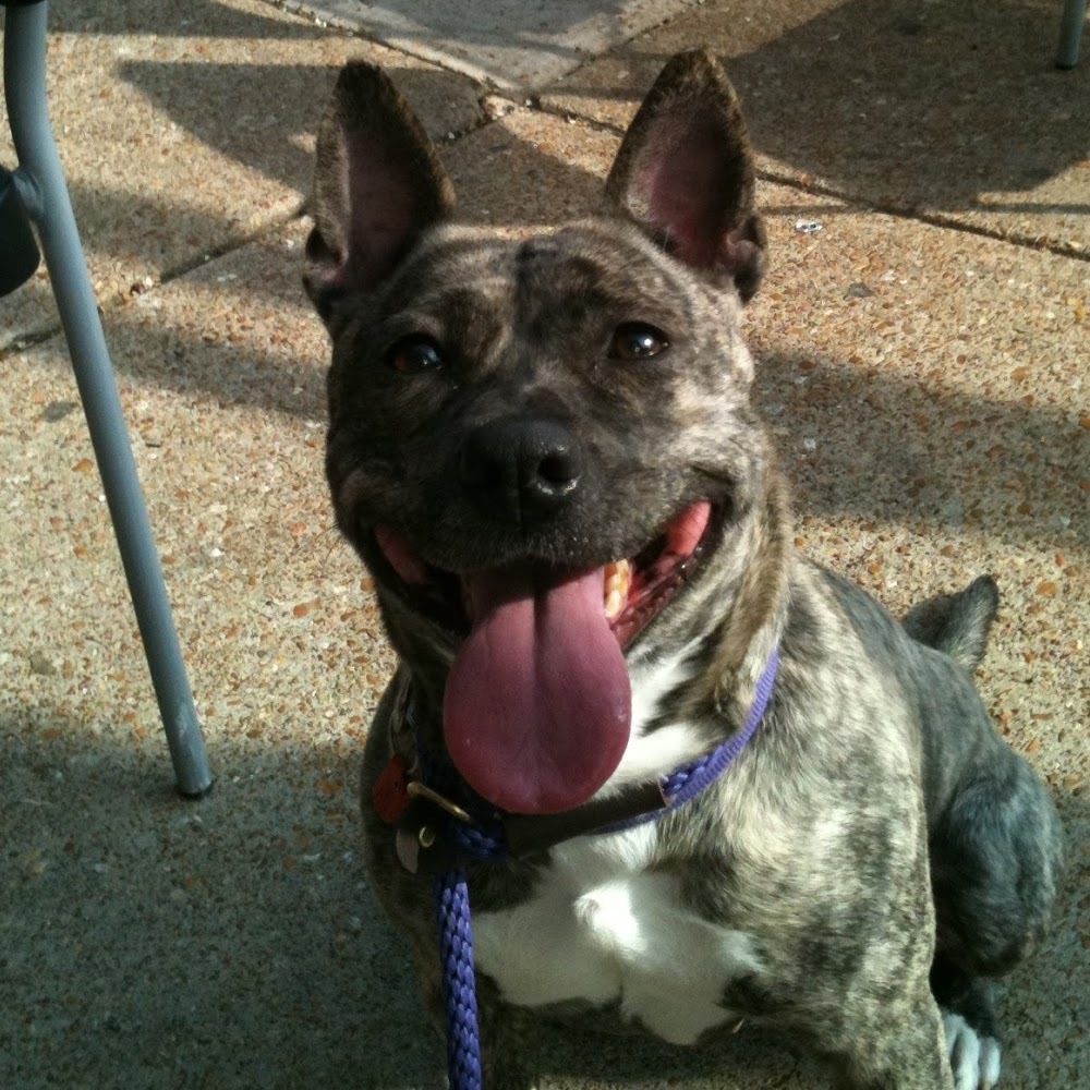 Meet your Posher, Alexis